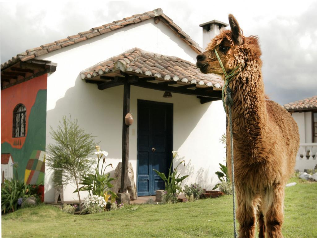 Готель La Quinta Colorada Lasso Екстер'єр фото