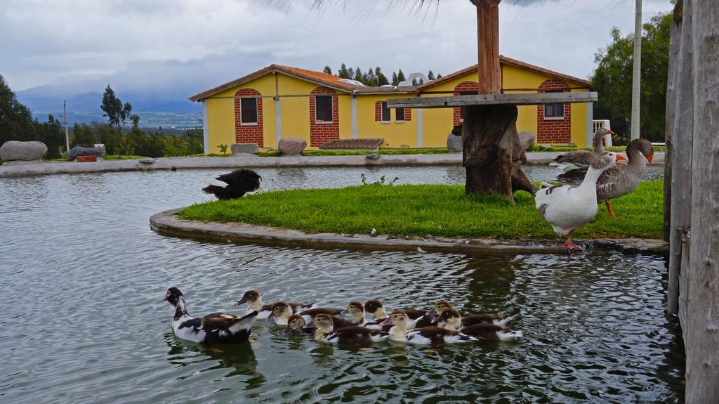 Готель La Quinta Colorada Lasso Екстер'єр фото